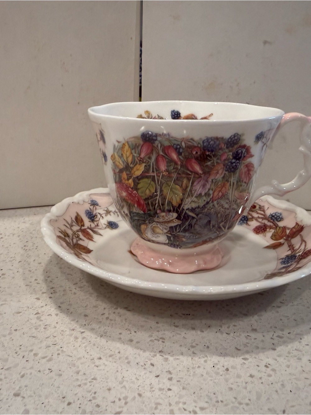 Royal Doulton Brambly Hedge Autumn